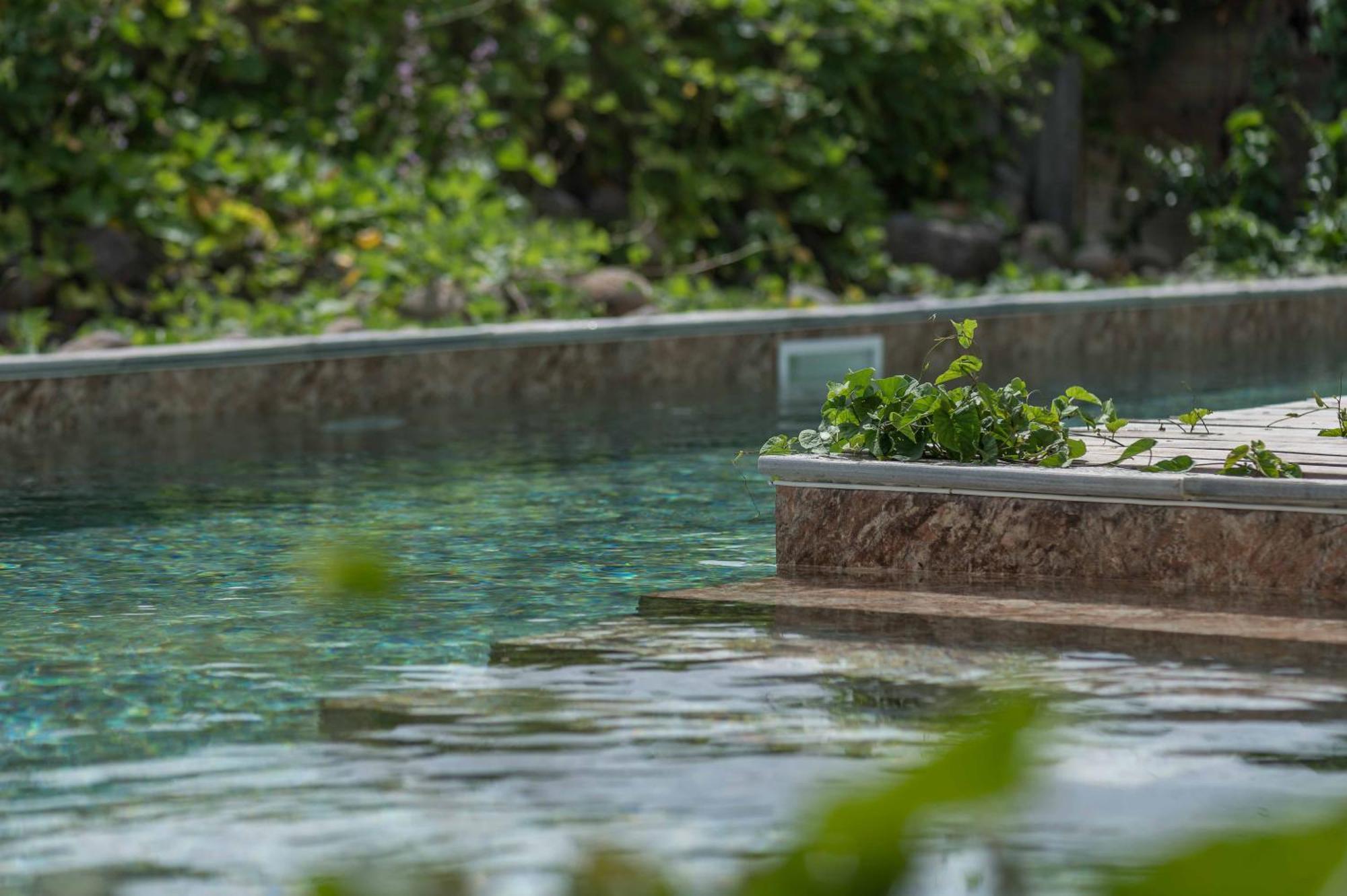 T2 Moderne Avec Piscine Oasis De Nature Et Serenite Petit-Canal Exterior photo